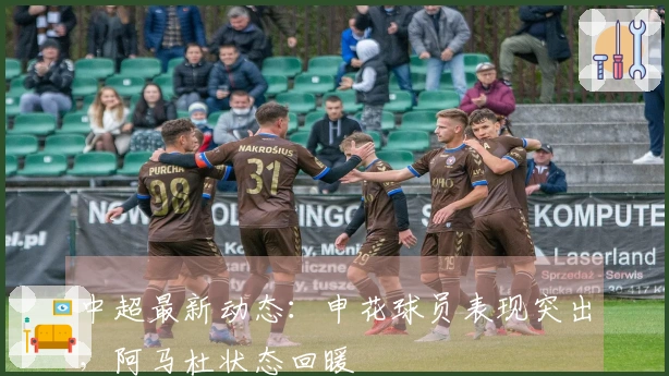 中超最新动态：申花球员表现突出，阿马杜状态回暖