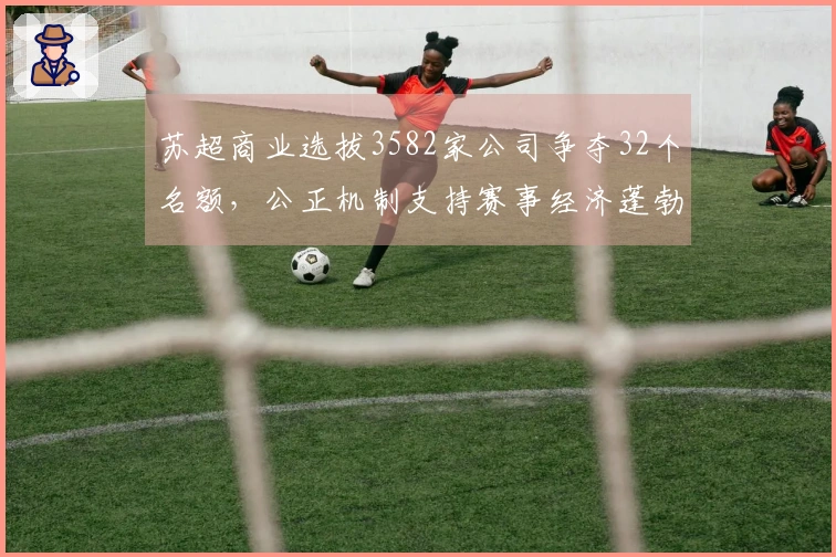 苏超商业选拔3582家公司争夺32个名额，公正机制支持赛事经济蓬勃发展