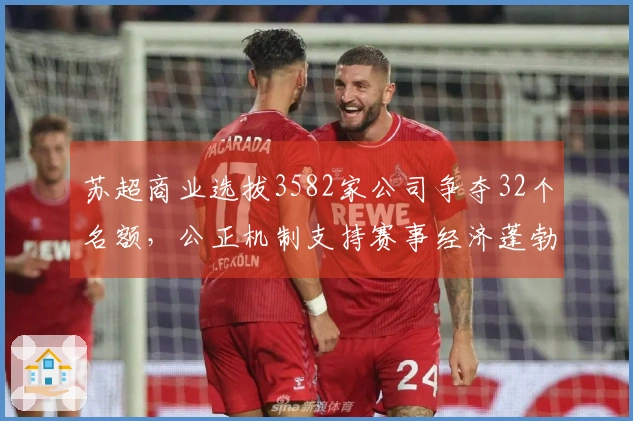 苏超商业选拔3582家公司争夺32个名额，公正机制支持赛事经济蓬勃发展